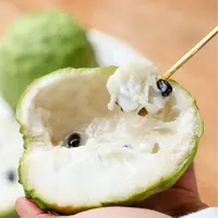 《农人老三》释迦果礼盒  新鲜水果顺丰包邮g海南省