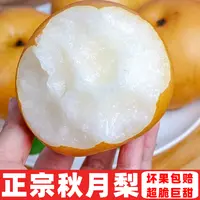【爆甜】正宗秋月梨酥梨水果新鲜应季薄皮梨子一整箱批发价大果