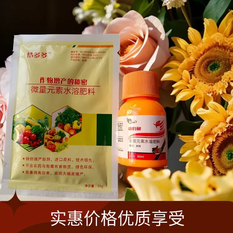 花生辣椒豆角结的多