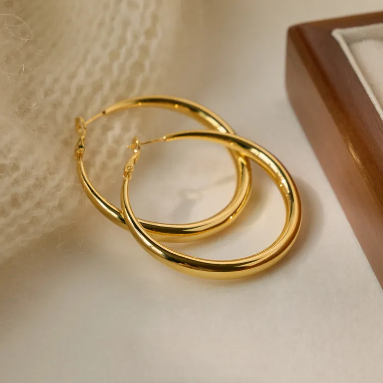 丽沁LIQIN耳饰  银针款许我耀眼赵露思许妍同款时尚大气耳圈耳环