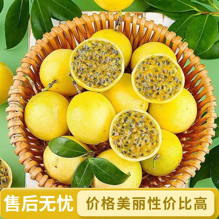 产地直发钦蜜9号百香果新鲜包邮富含维生素香甜多汁百香果钦蜜