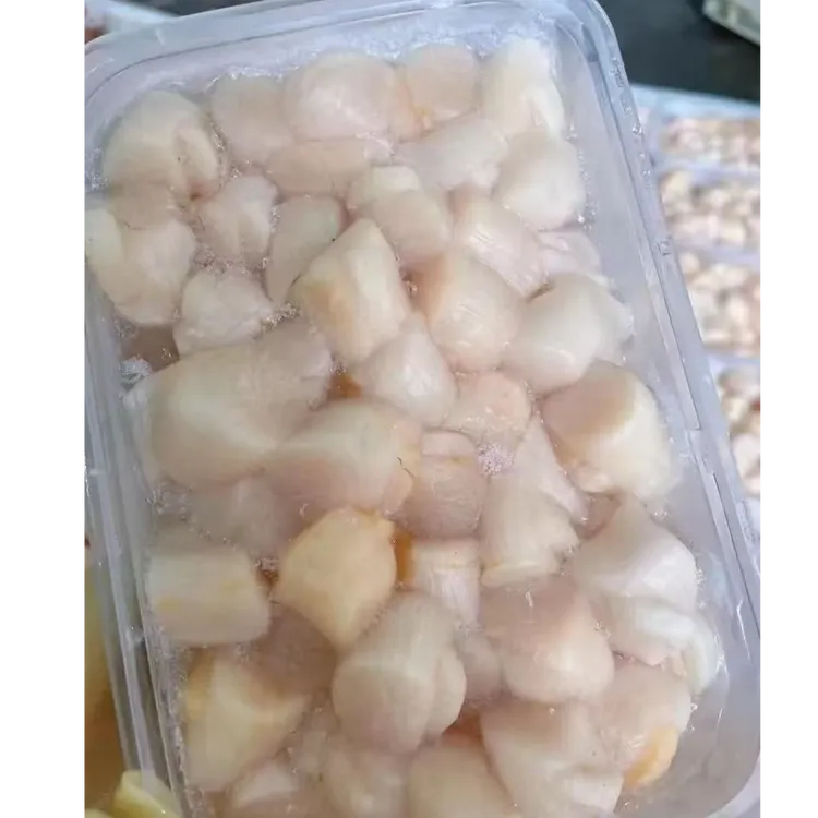 大连 原浆扇贝丁活贝现扣 80-90粒/斤 顺丰包邮 速冻发货