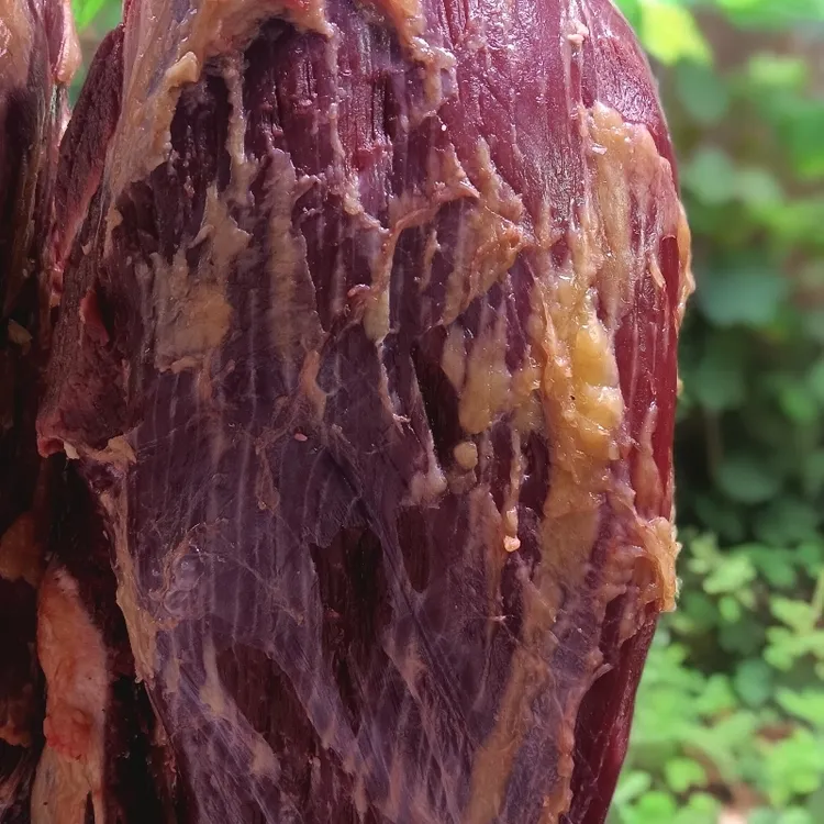 草饲散养土黄牛新鲜牛腿肉美味营养