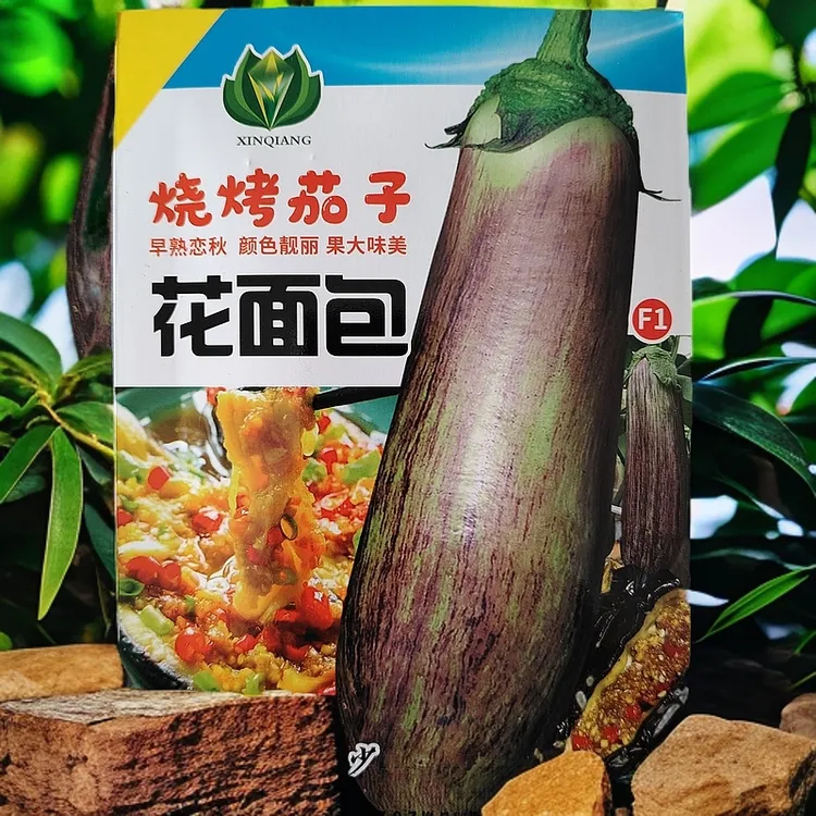 花面包花茄子种子