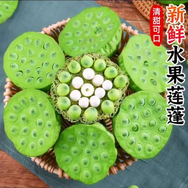 新鲜莲子莲蓬湖南湘莲现摘现发生吃孕妇儿童水果莲米莲蓬新鲜生吃