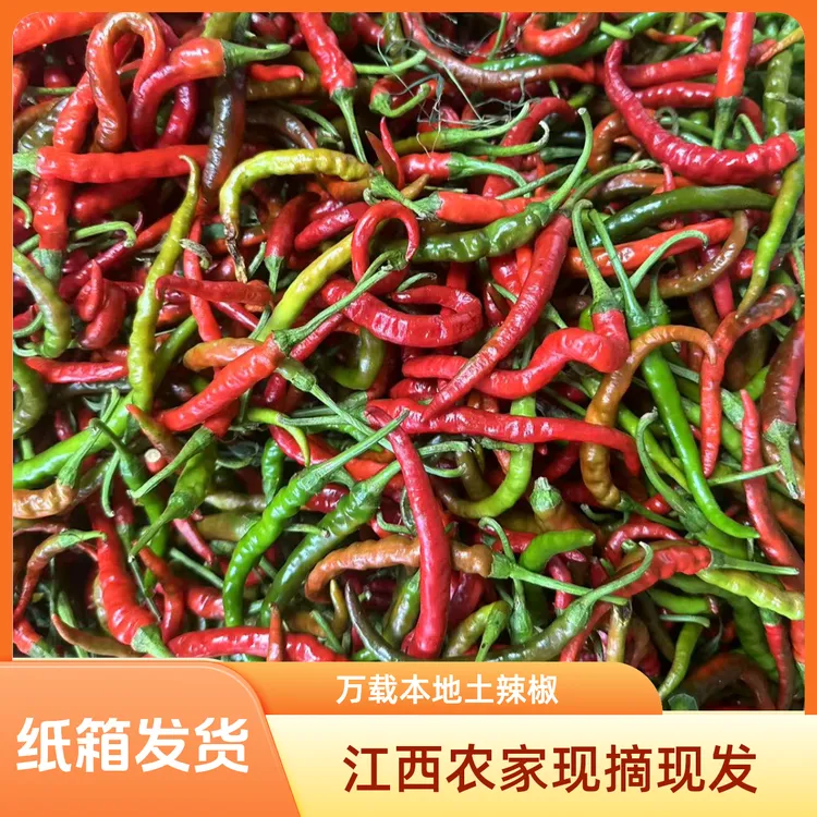 江西农家辣椒新鲜土辣椒青椒自种特辣爆辣现摘现发薄皮辣味十足