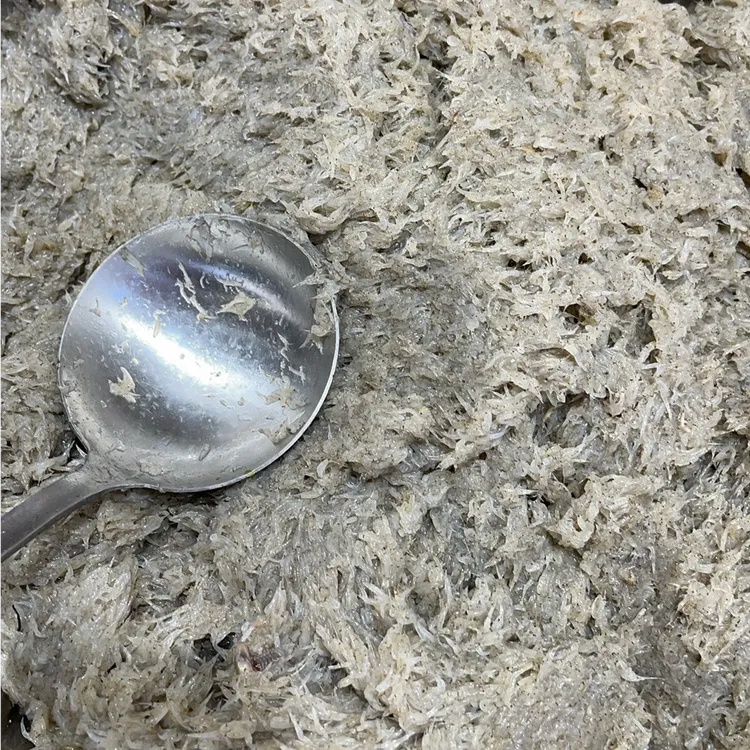 烟台海阳特产 新鲜蜢子虾 虾酱原材料 【4斤装】速冻发货