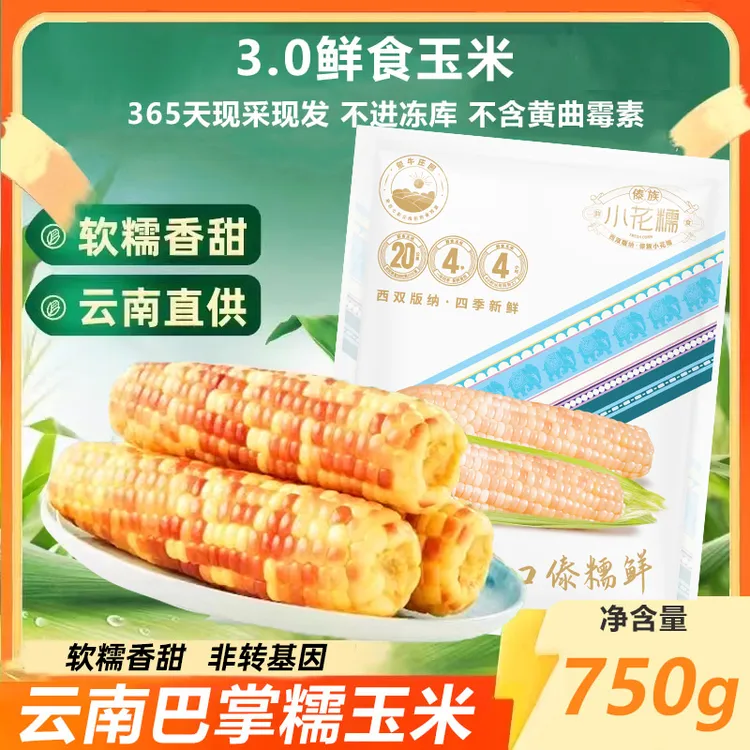 【巴掌小花糯】云南特产傣族小玉米真空锁鲜新鲜香甜糯粗粮早餐