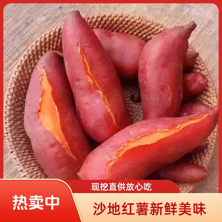 现挖新鲜红薯烟薯地瓜番薯沙地蜜薯农产品新鲜食材让您吃得放心