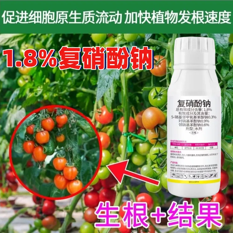 1.8%复硝酚钠保花保果绿叶促长膨大果实生长调节剂
