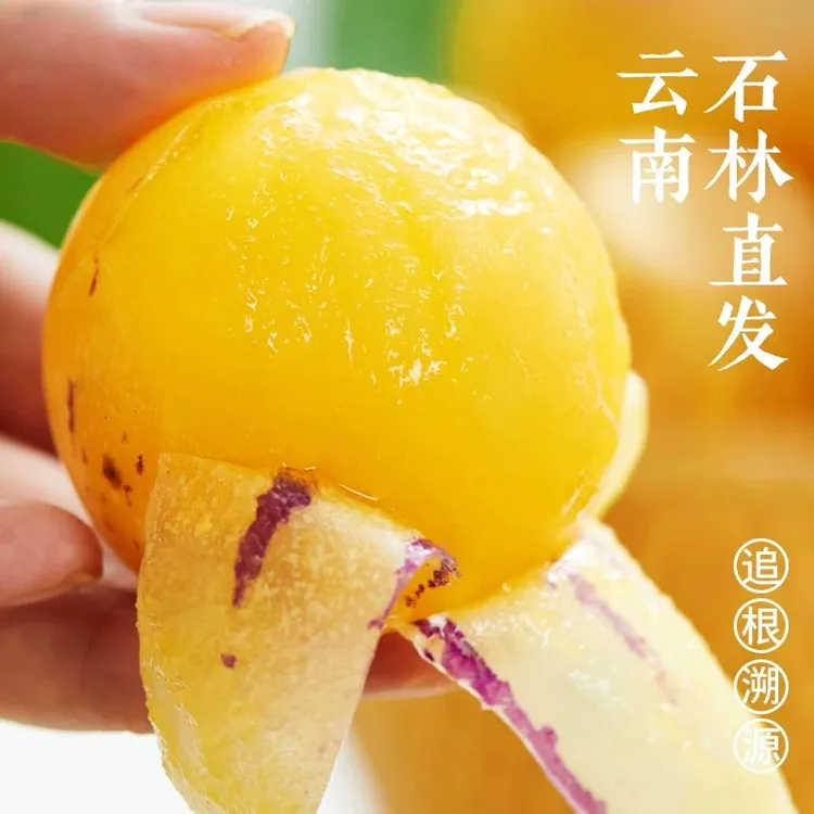 石林人参果净重黄肉圆果应季低糖水果整箱大果香甜8月应季正宗
