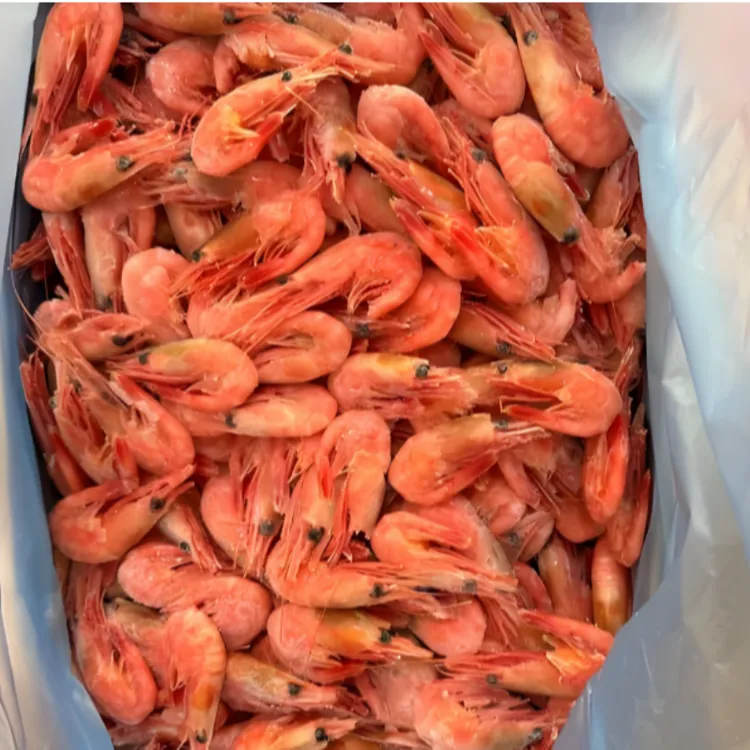 广瑾水产头籽北极虾90-120+（50%左右头籽率，无黑头）