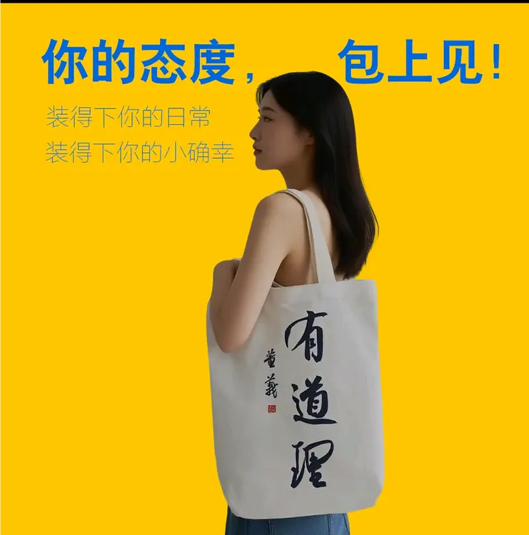 董义书法有道理帆(绒）布包环保单肩国潮国风学生网红