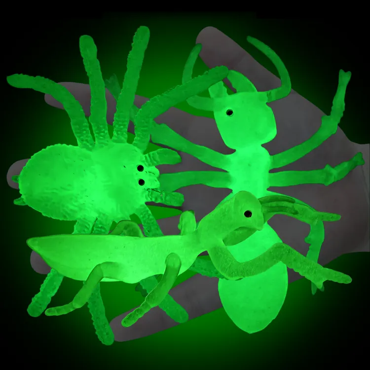 软胶仿真夜光蜘蛛蚂蚁螳螂幼儿园过家家玩具发光昆虫动物模型包邮