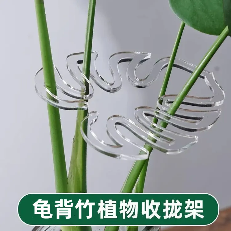 【拍1发3】龟背竹支撑杆春羽绿植固定器花架植物枝干收拢防倒伏支架