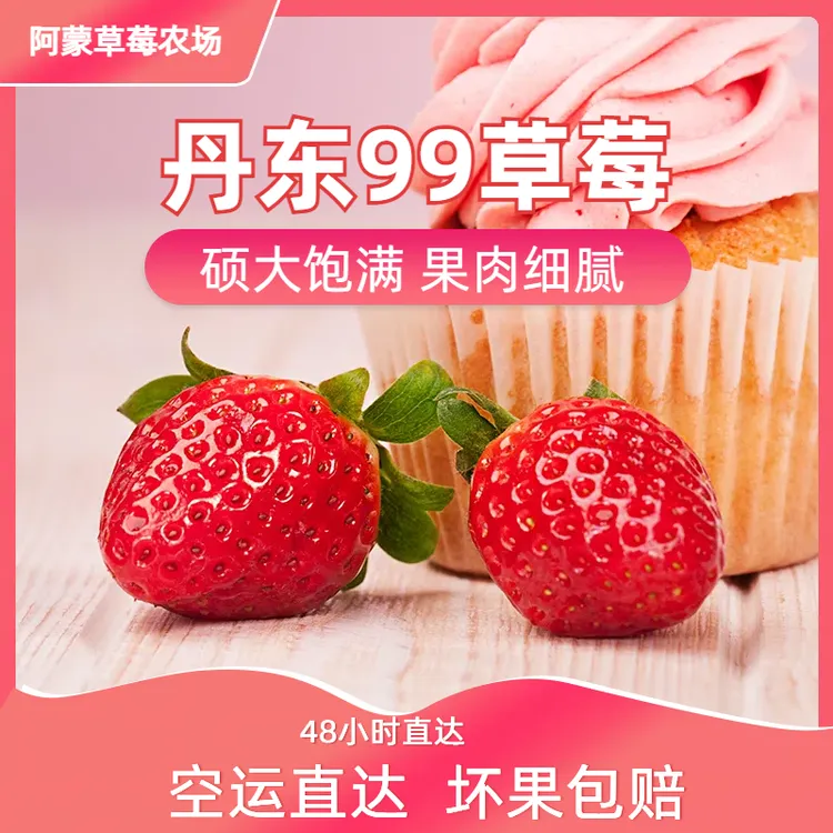【现货秒发】正宗丹东99草莓当天现摘空运包邮坏果包赔