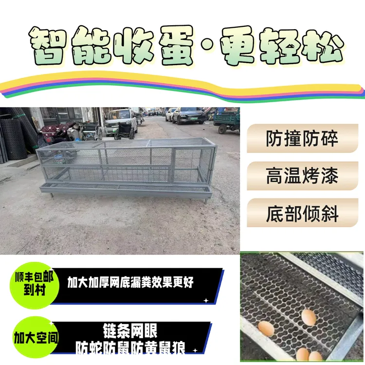 自动收蛋鸡笼鸡笼子家庭养鸡养殖鸡鸭鹅兔子养殖笼大号养殖笼烤漆