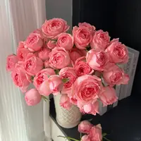 【源头优选】醉湘云多头玫瑰 任意两单升级快递 发货后不支持退款