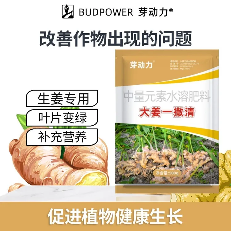 芽动力大姜一撒清改善预防姜瘟炭疽叶枯腐烂专用中量元素水溶肥料