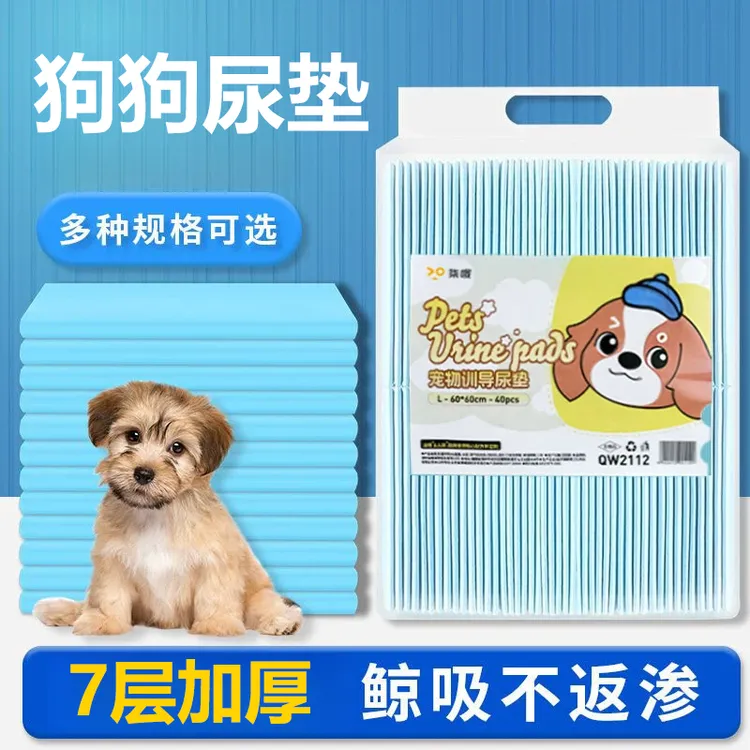 狗狗尿垫专用诱导定点加厚除臭吸水防漏瞬吸宠物猫咪尿片比熊泰迪