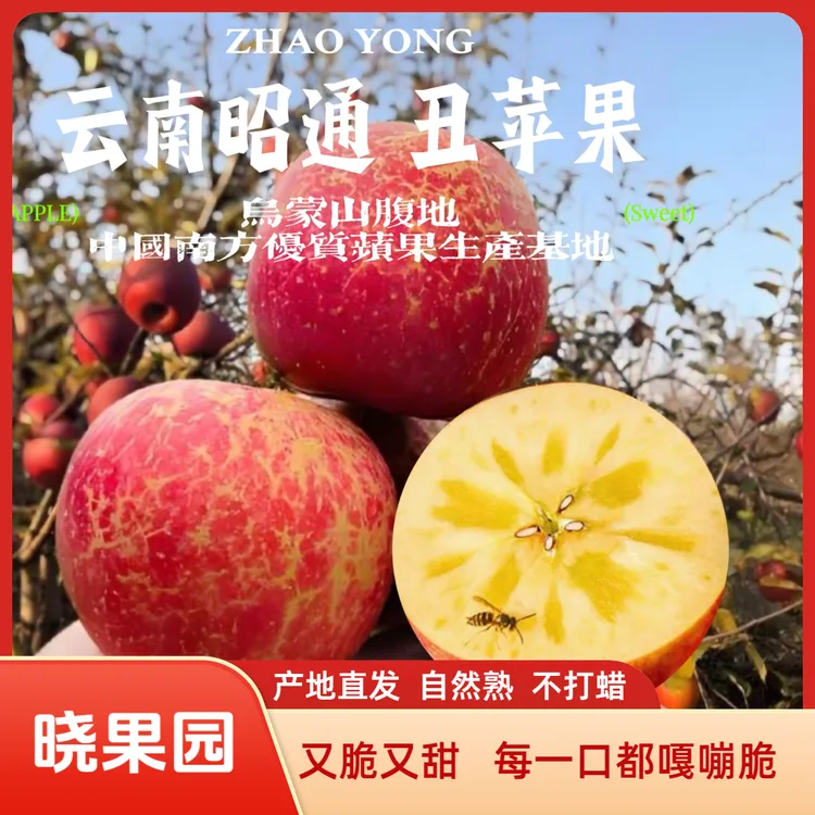 【晓果园】正宗云南昭通冰糖心丑苹果富士新鲜现摘脆甜多汁产地直发