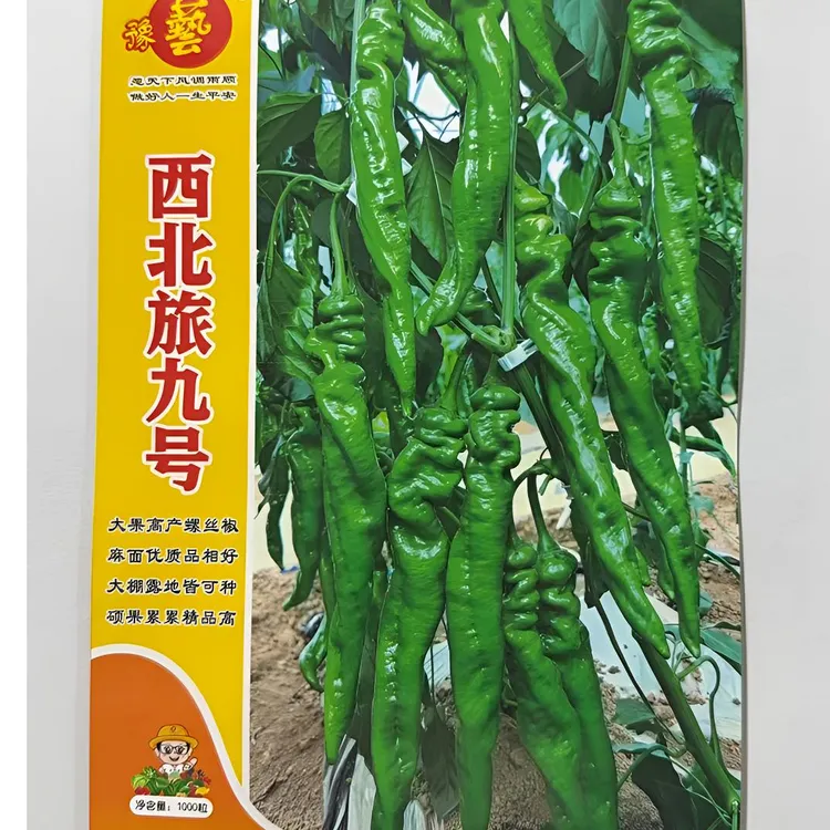 豫艺西北旅九号大果高产螺丝椒种子高抗高产大棚露地可种1000粒装