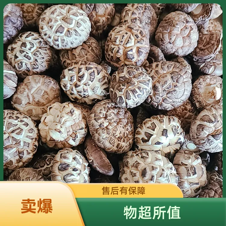 精选栾川特产香（花）菇干货肉厚味香无熏硫无干燥剂生长期长口感好