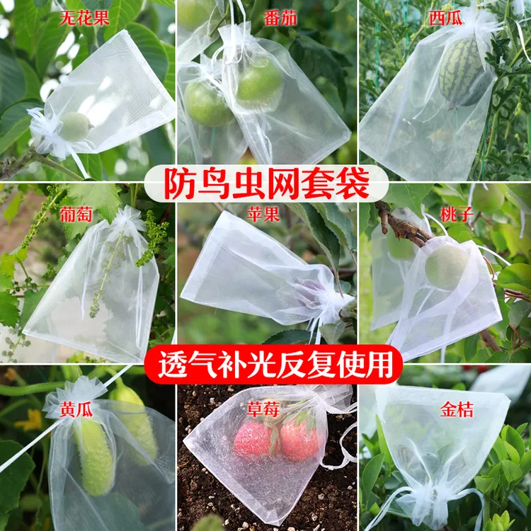果树防虫网袋防鸟纱网袋保护葡萄袋无花果番石榴草莓套袋桃子套袋