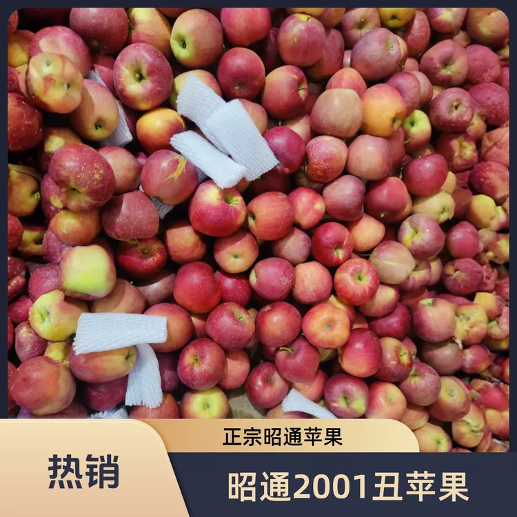 2025年云南昭通苹果丑苹果 纯甜多汁 【冰糖心苹果】高原