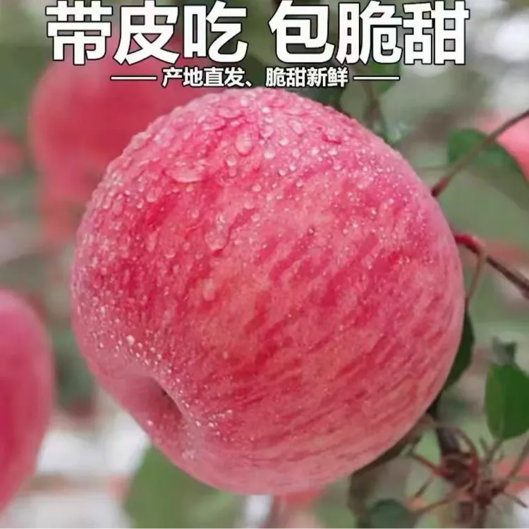 红富士苹果脆甜多汁美味水果商品图