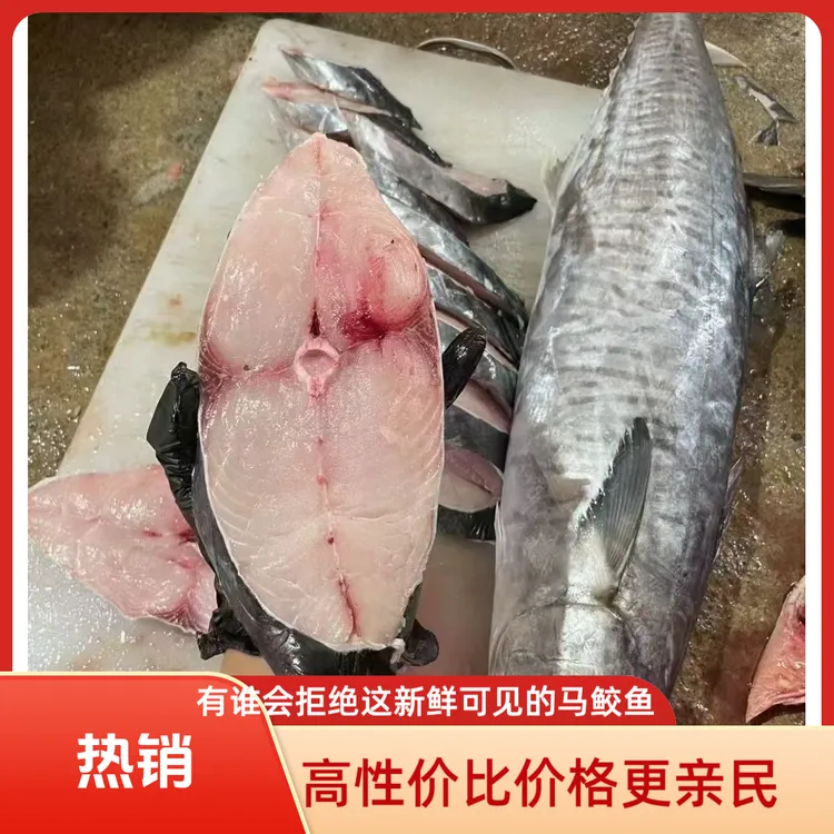 大马鲛鱼整条现切深海捕捞新鲜速冻顺丰冷链直邮品质保证坏单包退