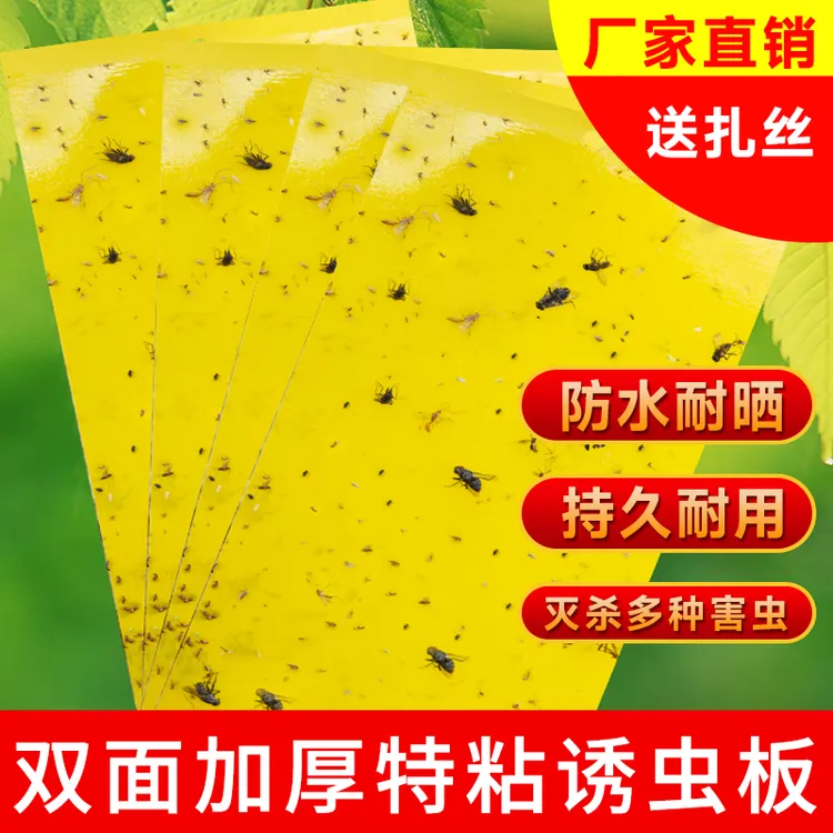 黄板粘虫板双面粘诱虫板果蝇专用粘虫贴灭小飞虫室内家用物理杀虫