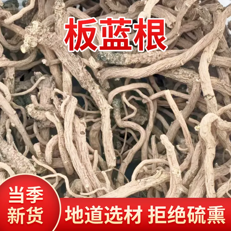 重庆长寿板蓝根精选好品质自然晾晒无添加 肉质厚实清热解毒