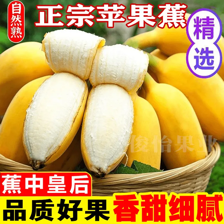【伦都爵】正宗广西苹果蕉产地直销9斤5斤3斤水果香蕉新鲜粉芭蕉