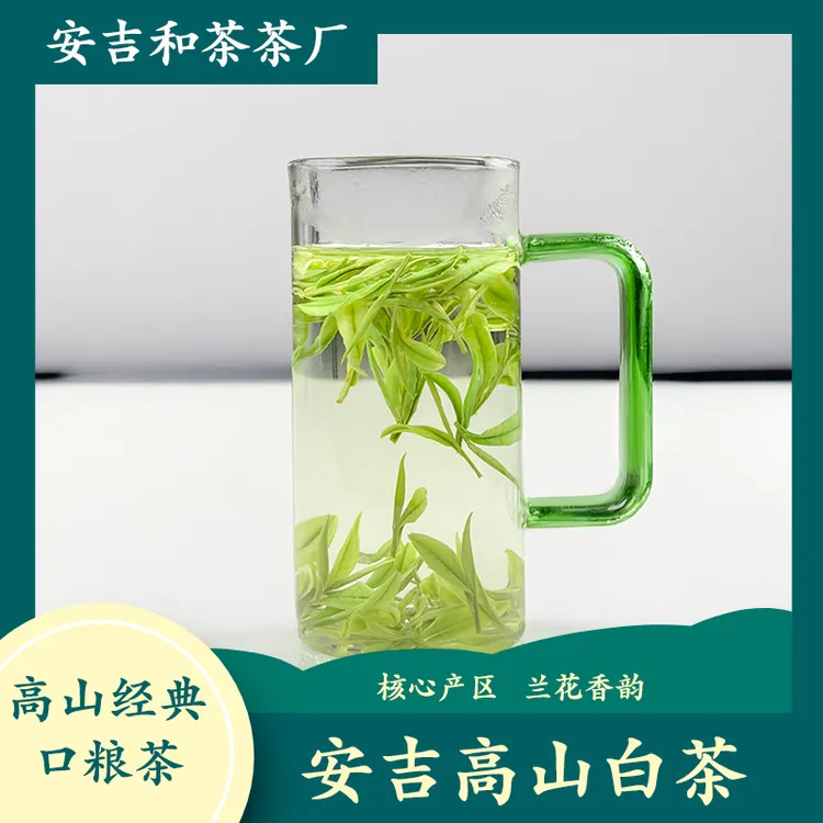 经典口粮茶A15 安吉高山白茶礼送礼春茶原产地兰花香安吉浓香白茶