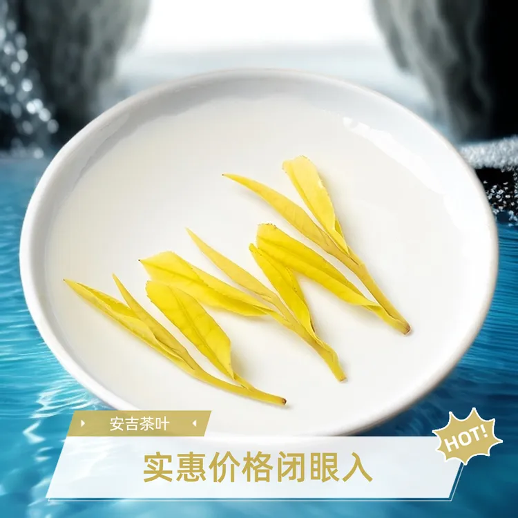 昆铜豆香味  黄金芽