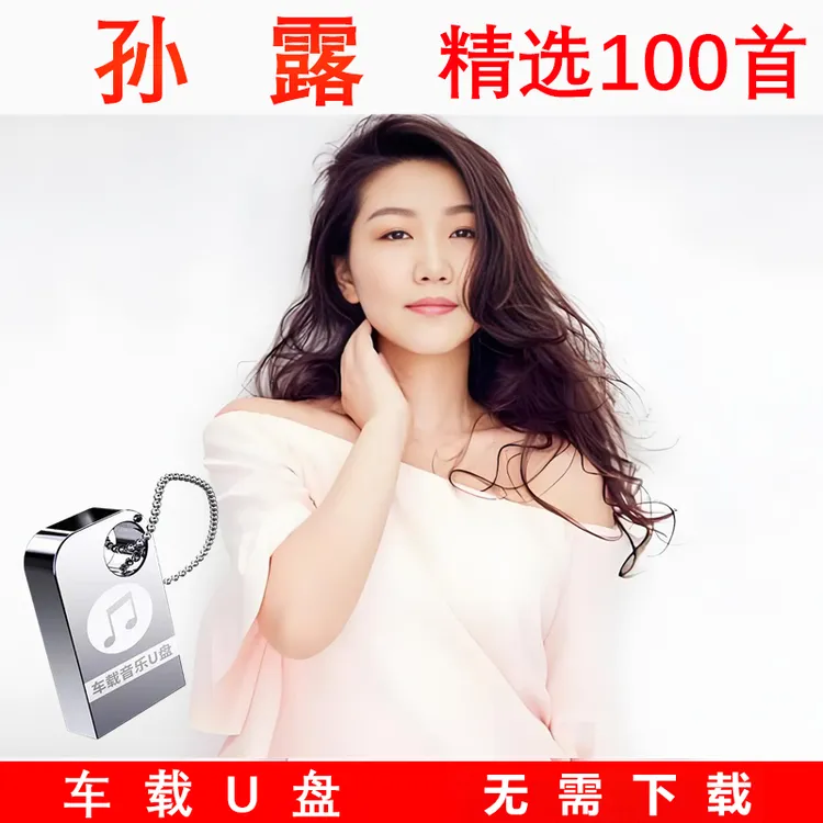 孙露歌曲u盘专辑发烧女声经典情歌流行车载无损高音质mp3音乐优盘