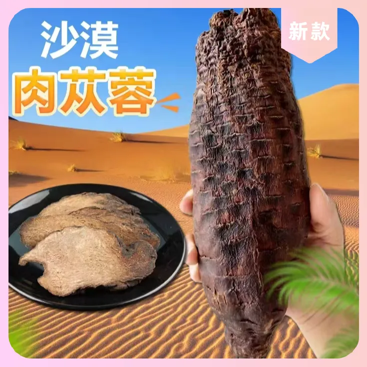 新疆整根肉苁蓉肉苁蓉切片中药材山药新货荒漠软大芸泡酒泡水硬质