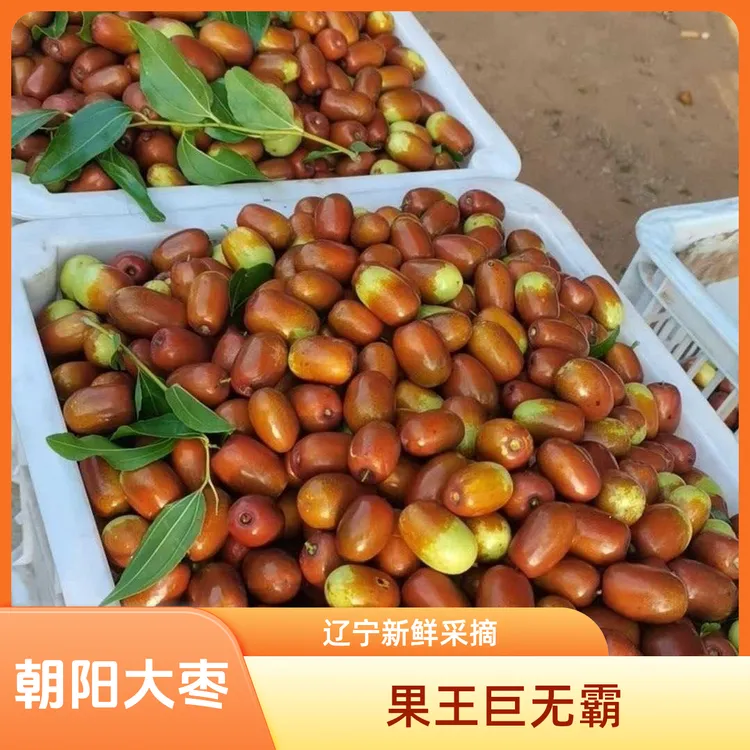 果王（巨无霸）朝阳大枣净重5斤口感酸甜包邮