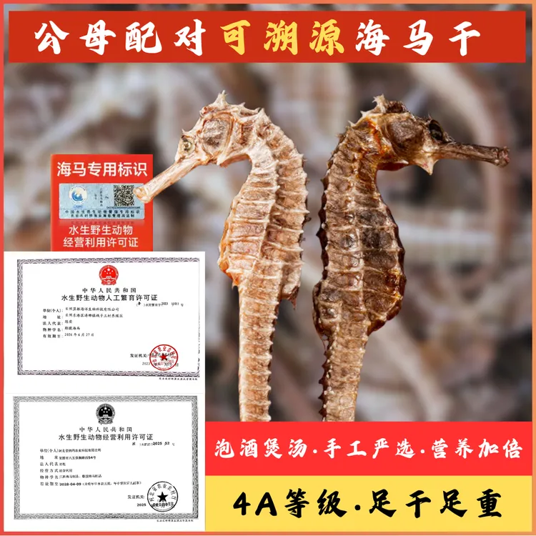海马一公一母配对干货非野生大海马干中药材正品增炖高汤煲汤泡酒