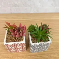 绿植套装组合新品假多肉盆栽diy仿真植物仿真盆栽