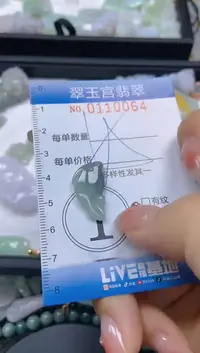 翡翠未镶嵌颈饰闪购0110064