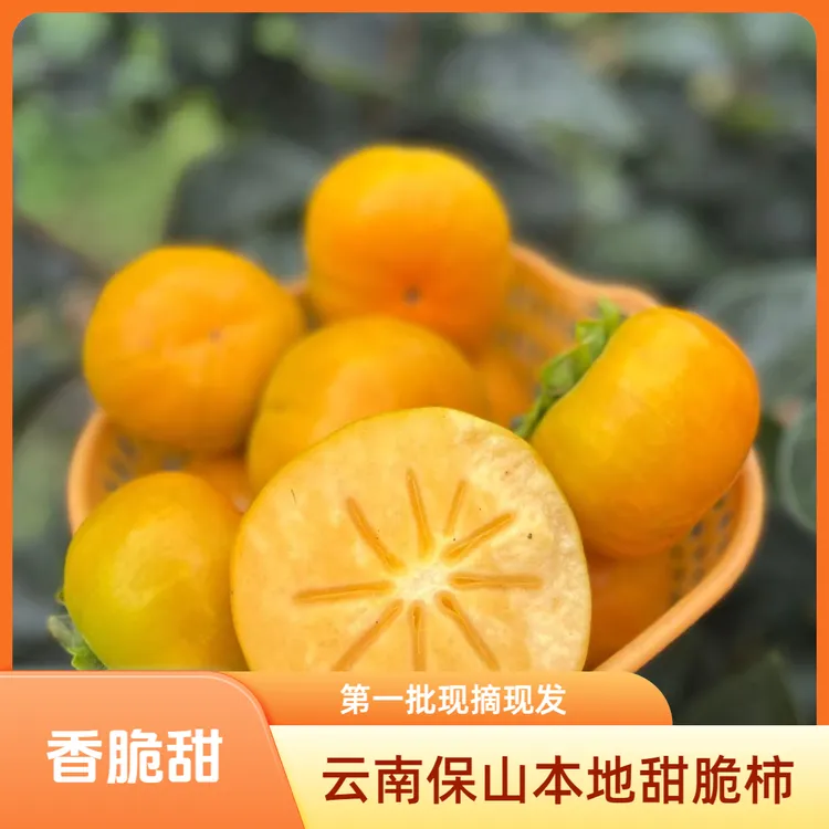 正宗云南保山本地新鲜甜脆柿清脆香甜现摘现发早秋太秋次郎冰糖心