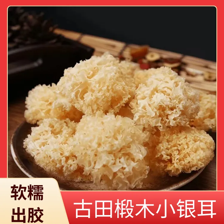 椴木小银耳新货软糯易出胶易煮雪耳古田干货