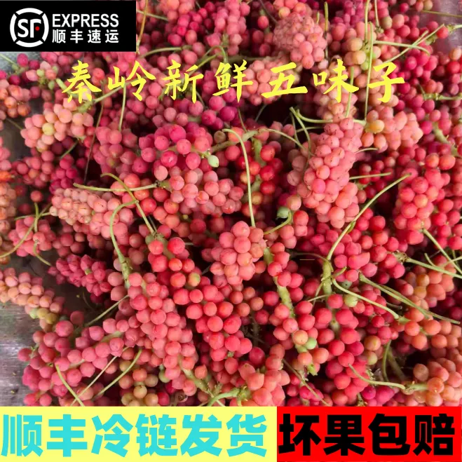 【顺丰冷链】陕西秦岭深山野生南五味子鲜果新鲜水果南五味子