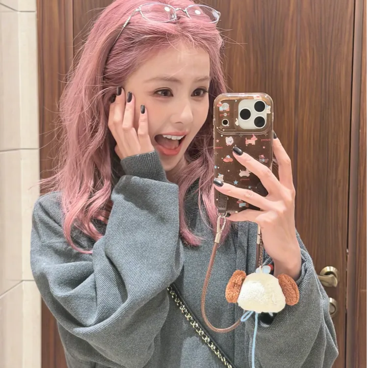 白鹿同款手机壳美拉德狗挂绳适用iPhone17promax苹果17pro手机壳