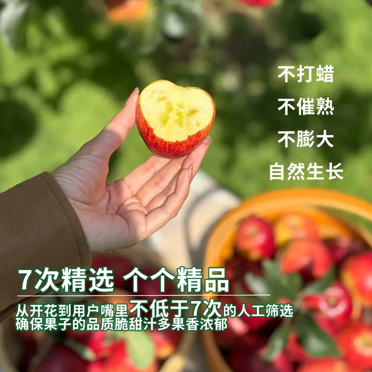 正宗云南昭通冰糖心丑苹果脆甜多汁新鲜直发现摘水果