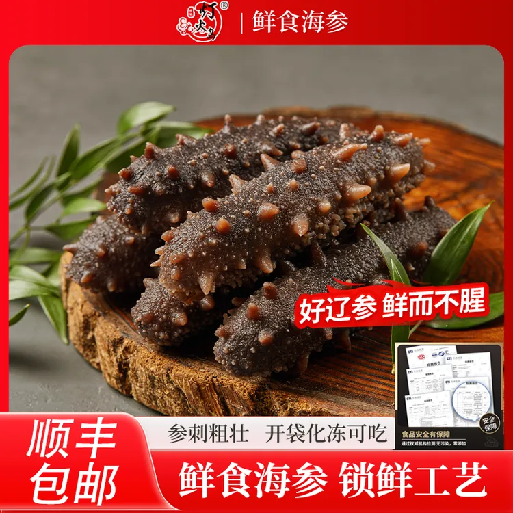 灯火岛鲜食海参500g/盒 刺参  开袋即食 