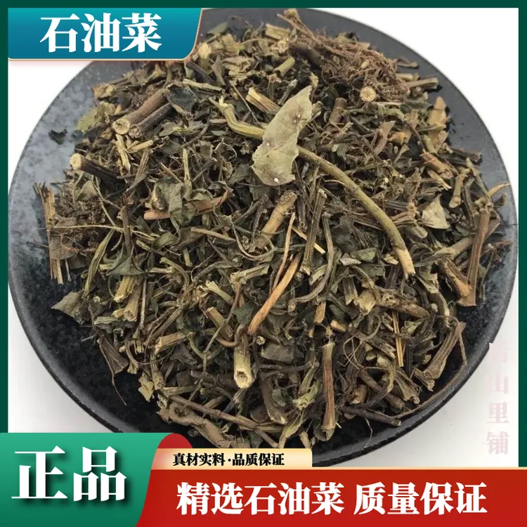 深山野石油菜石花菜石苋菜打不死冷冻草疳积草苗新鲜嫩头新货叶菜