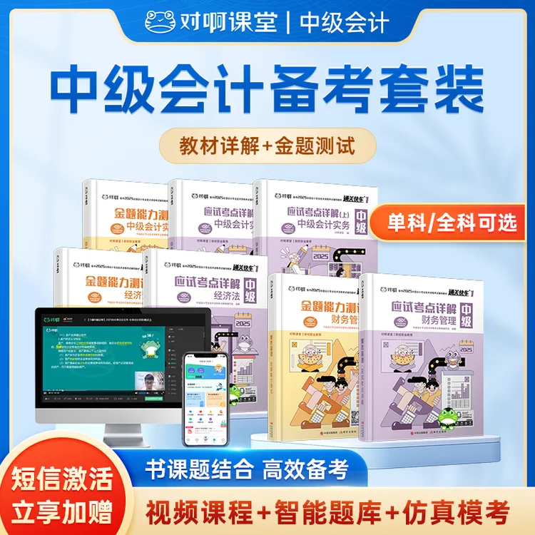 【中级会计】备考2025教辅书练习题册职称财务教材备考资料全套